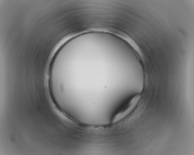 X0000113580955200910161537