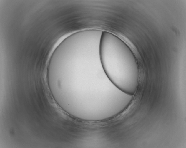 X0000113580956200910161537