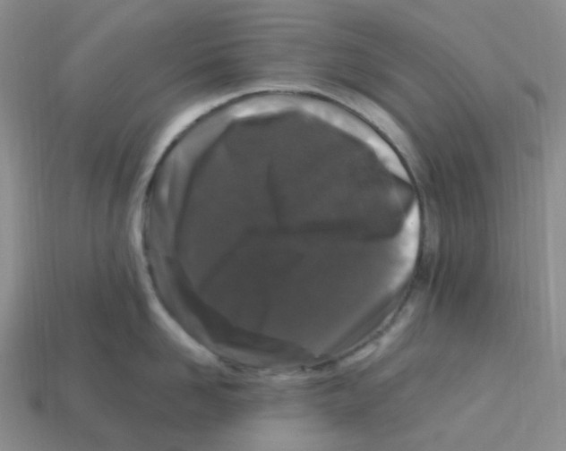 X0000113580958200910161537