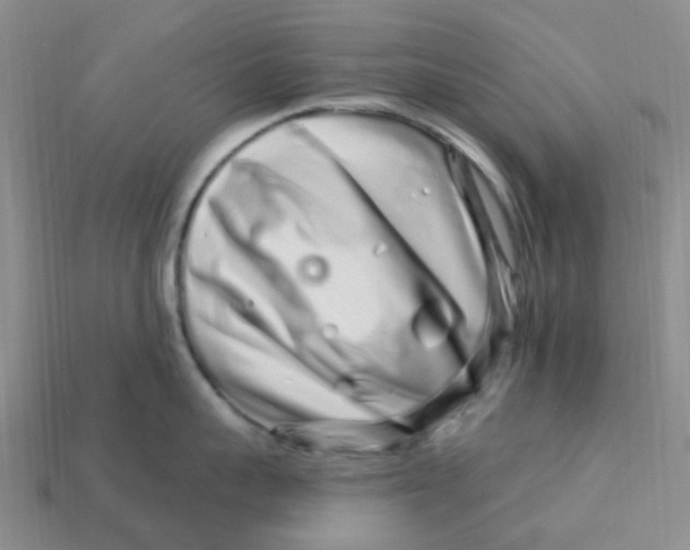 X0000113580959200910161537