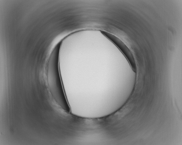 X0000113580960200910161537