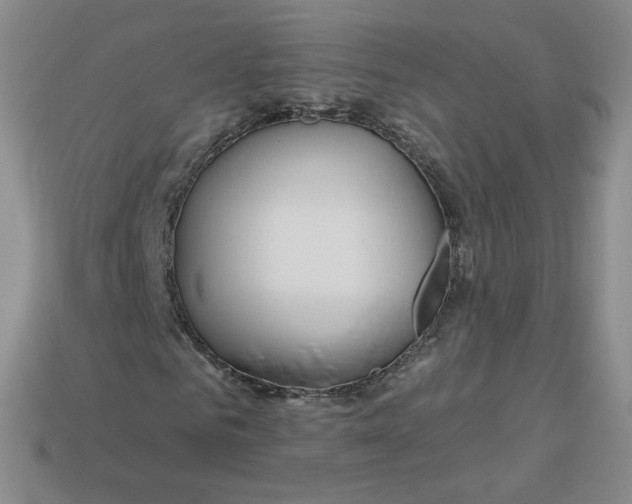 X0000113580961200910161537