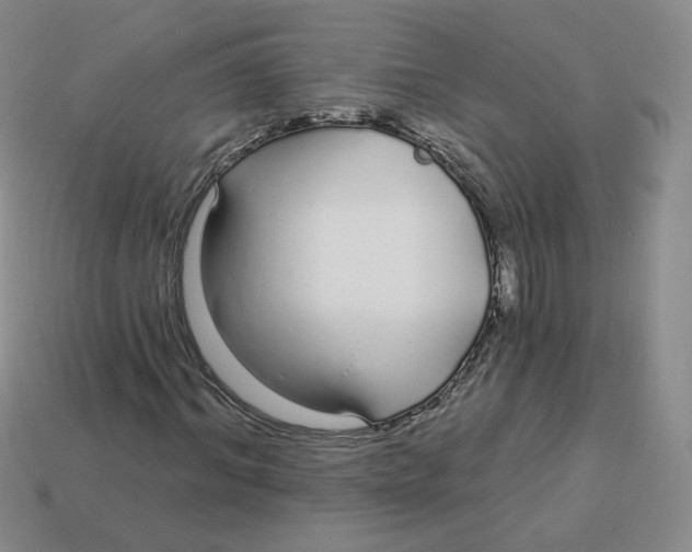 X0000113580964200910161536