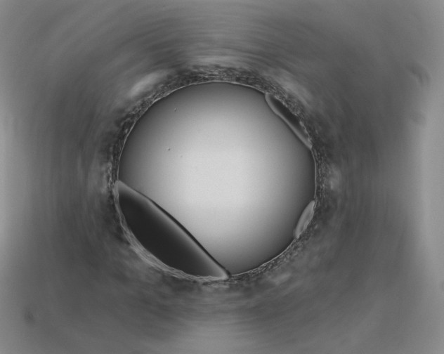 X0000113580965200910161536