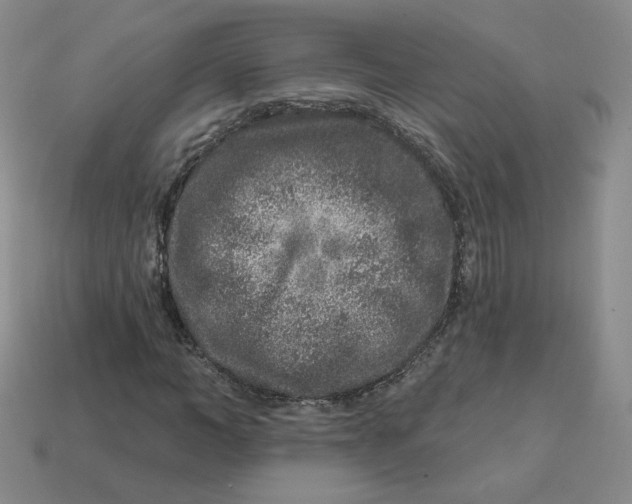 X0000113580966200910161536