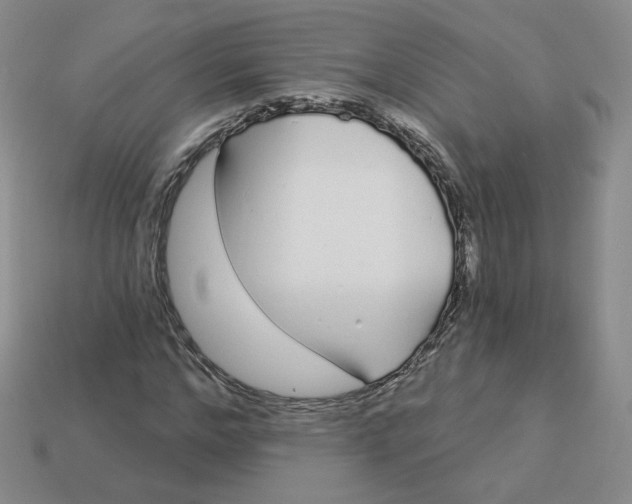 X0000113580968200910161536