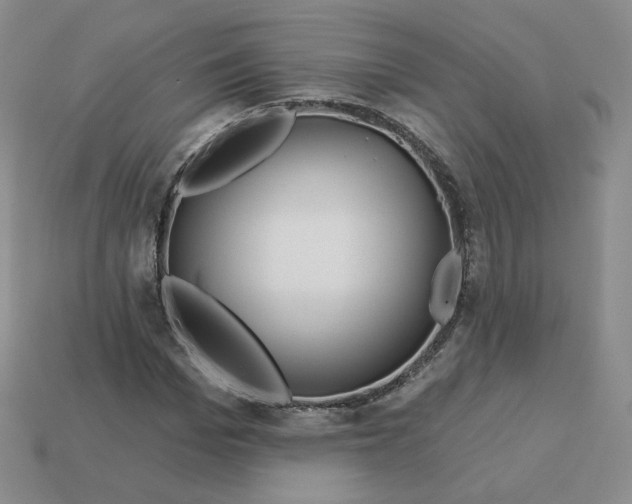 X0000113580969200910161536