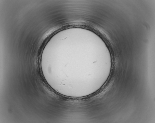 X0000113580970200910161536