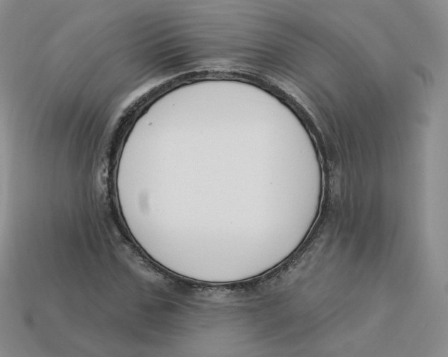 X0000113580971200910161536