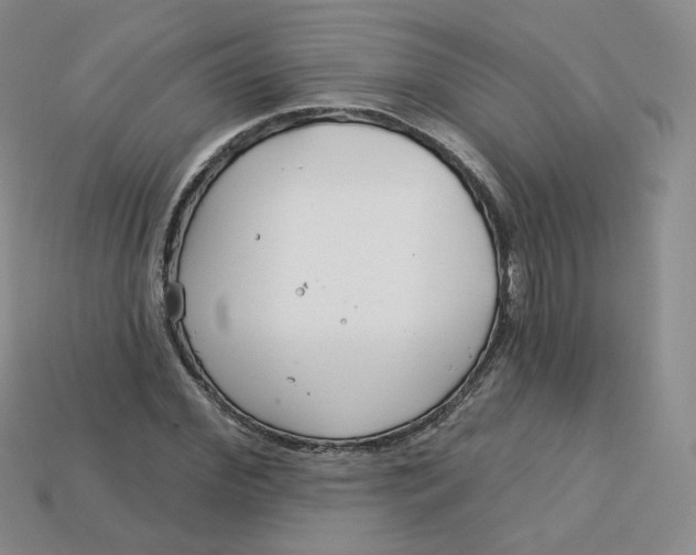 X0000113580972200910161536