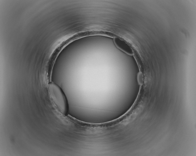 X0000113580973200910161536