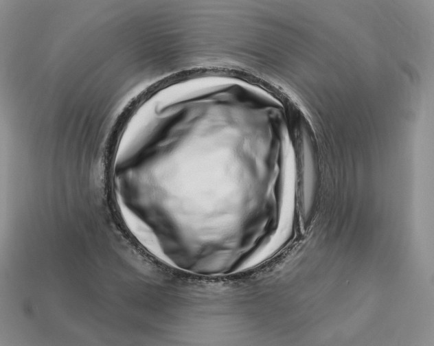 X0000113580975200910161536