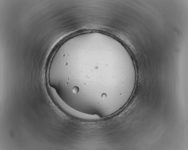 X0000113580976200910161536