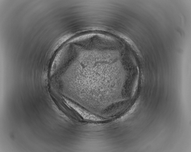 X0000113580977200910161536