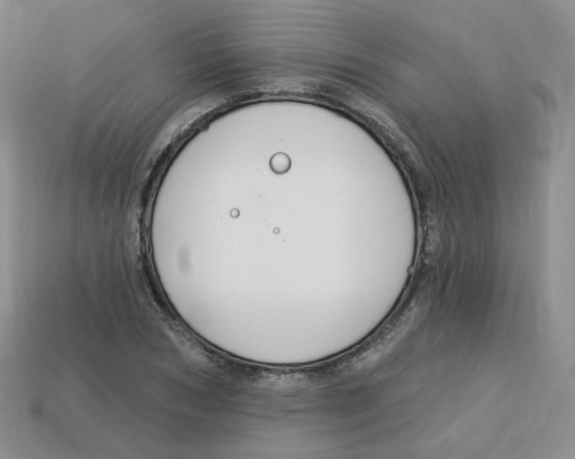 X0000113580978200910161536