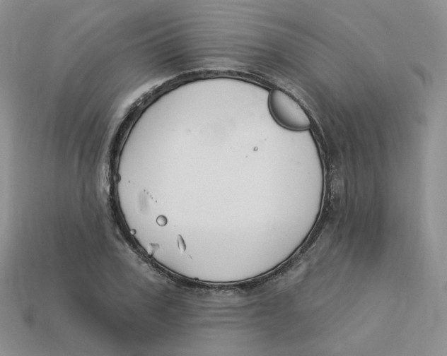 X0000113580979200910161536