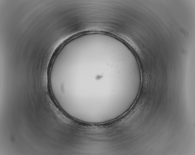 X0000113580980200910161536