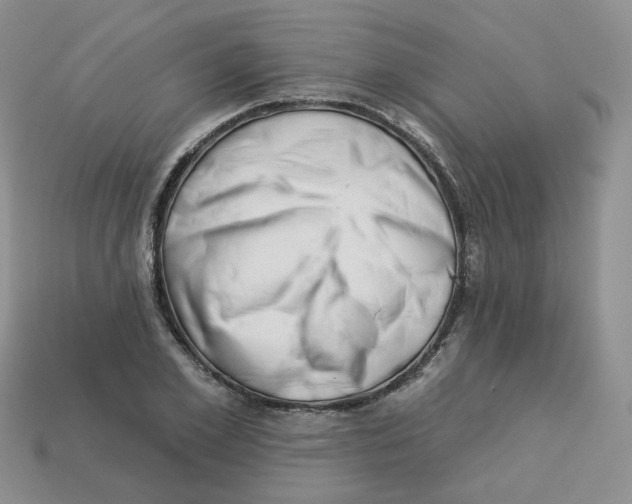 X0000113580981200910161536