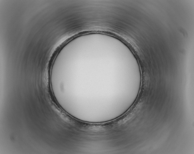 X0000113580982200910161536