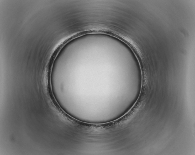 X0000113580983200910161536