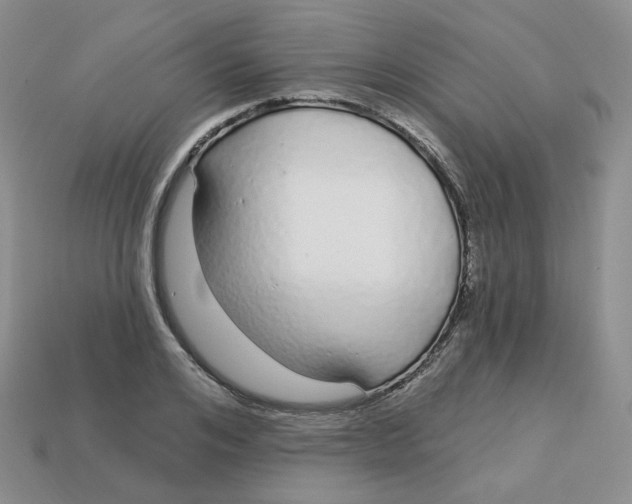 X0000113580984200910161536