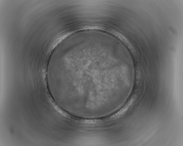 X0000113580985200910161536