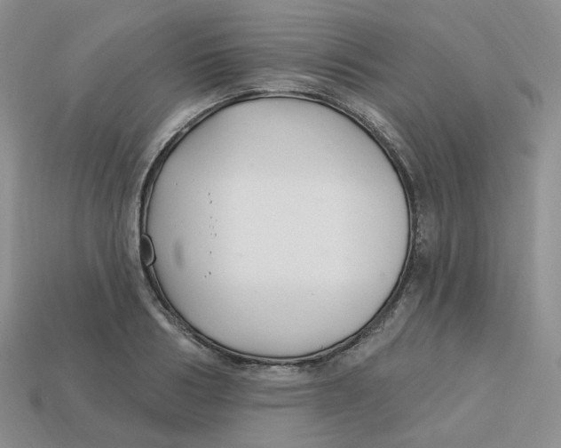 X0000113580986200910161536