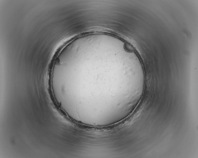 X0000113580987200910161536