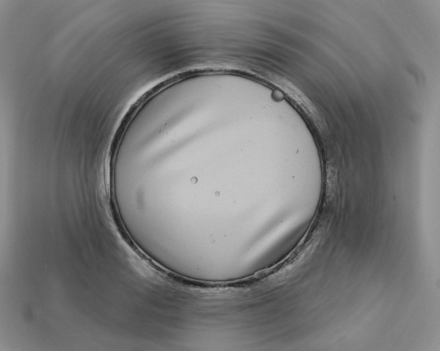 X0000113580988200910161536