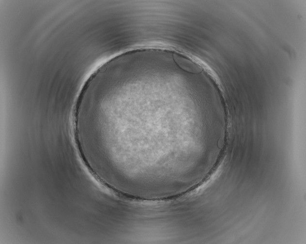 X0000113580989200910161536