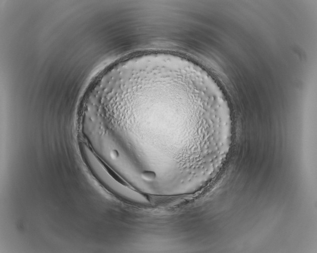 X0000113580990200910161536