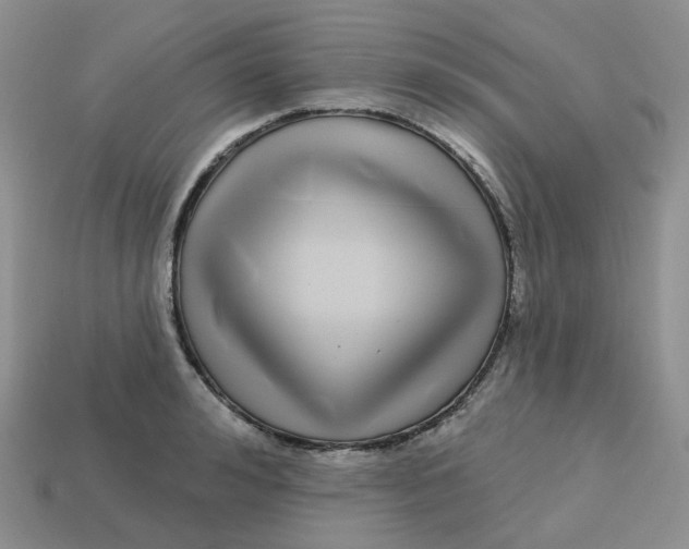 X0000113580992200910161536