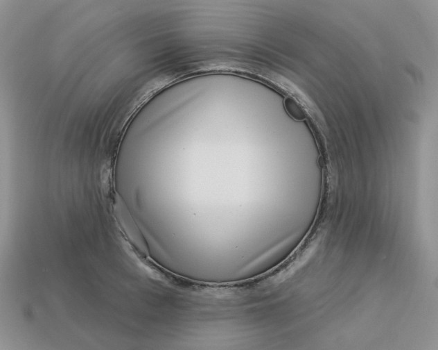 X0000113580993200910161536