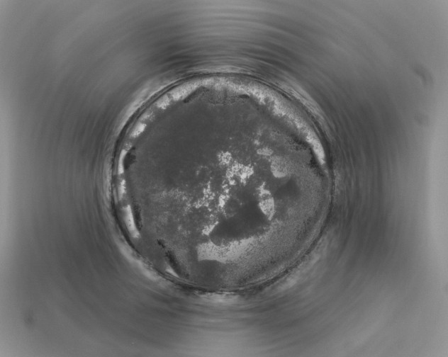 X0000113580994200910161536