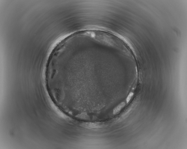 X0000113580995200910161536