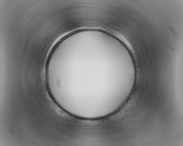 X0000113580996200910161536