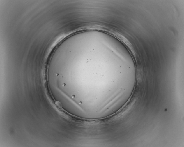 X0000113580997200910161536