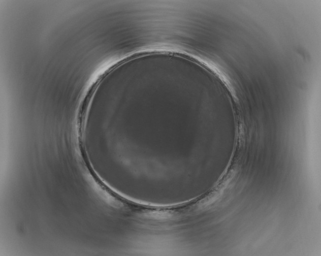 X0000113580998200910161536