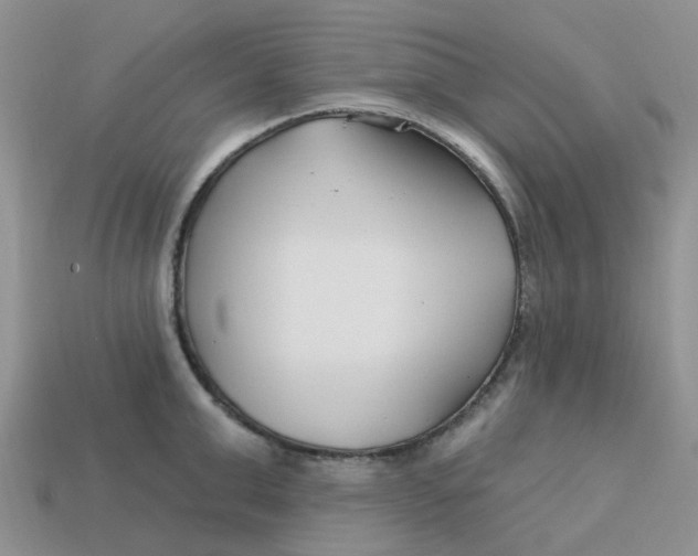 X0000113580999200910161536