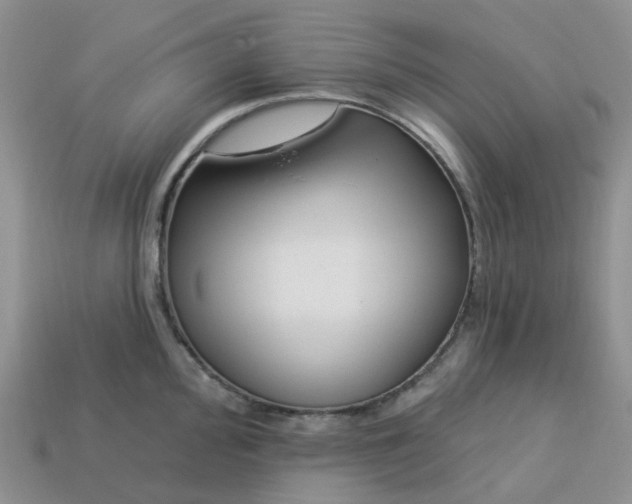 X0000113581000200910161536