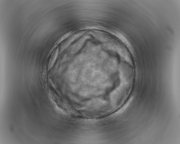 X0000113581001200910161536