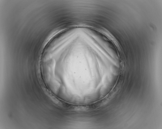 X0000113581002200910161536