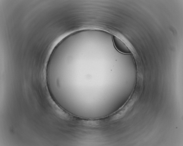 X0000113581004200910161536