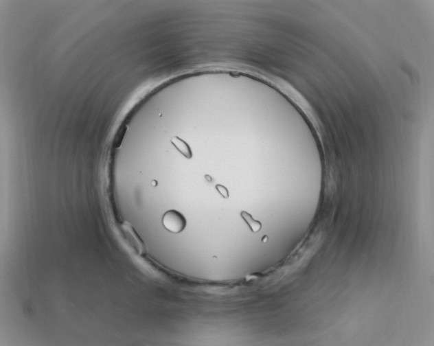 X0000113581005200910161536