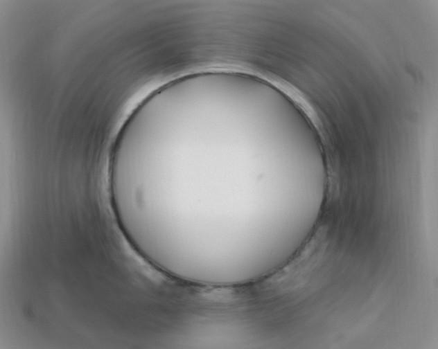 X0000113581006200910161536