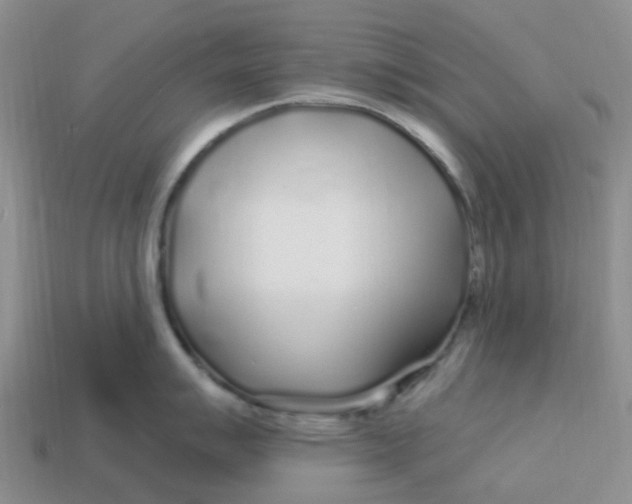 X0000113581007200910161536