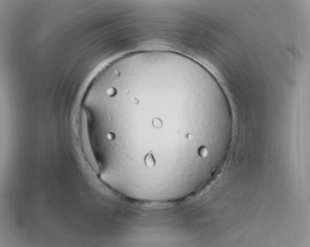 X0000113581008200910161536