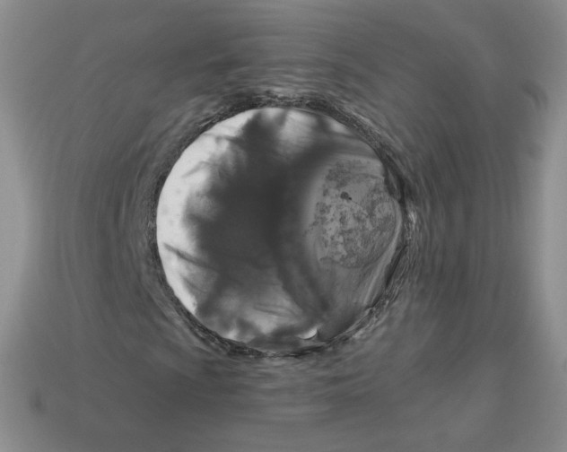 X0000113581009200910161535