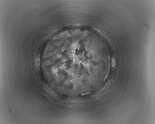 X0000113581011200910161535