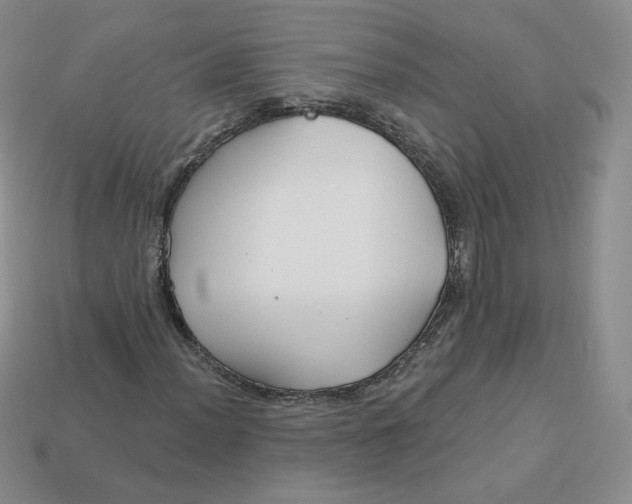 X0000113581012200910161535